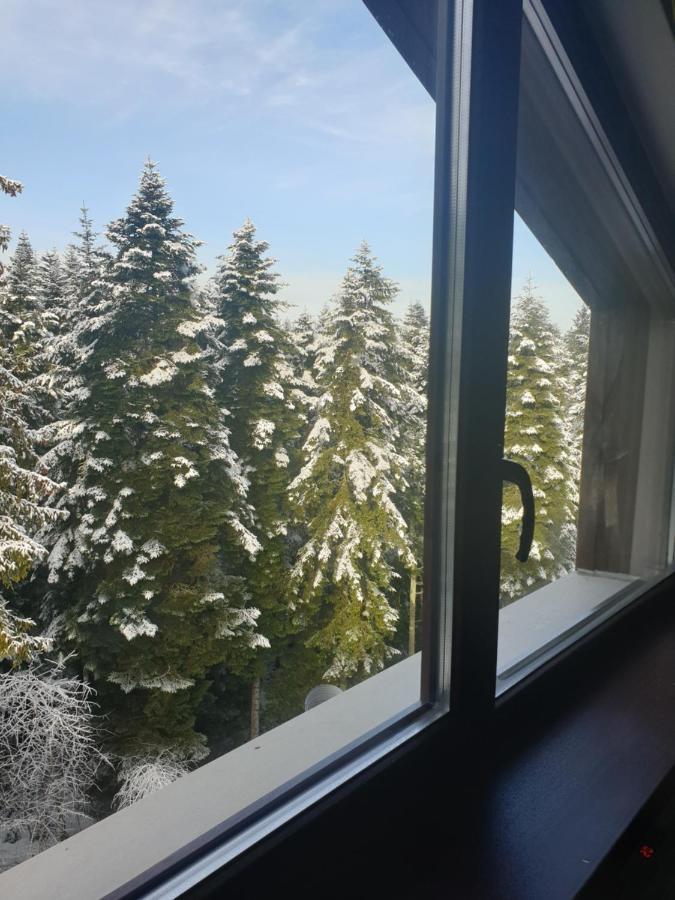 Borovets Forest View Екстер'єр фото