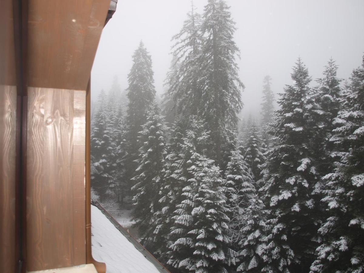 Borovets Forest View Екстер'єр фото