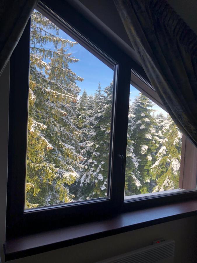 Borovets Forest View Екстер'єр фото