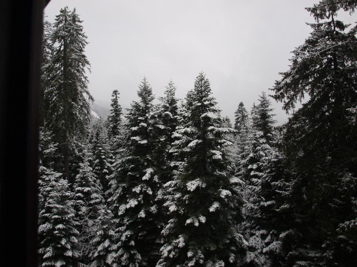 Borovets Forest View Екстер'єр фото
